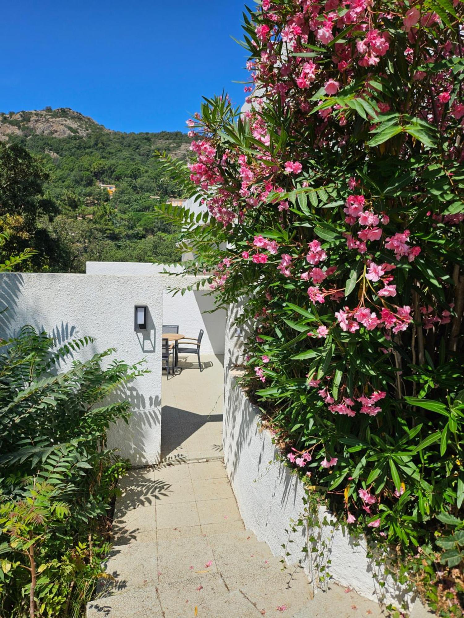Capsud, La Garde-Freinet Apartment ภายนอก รูปภาพ